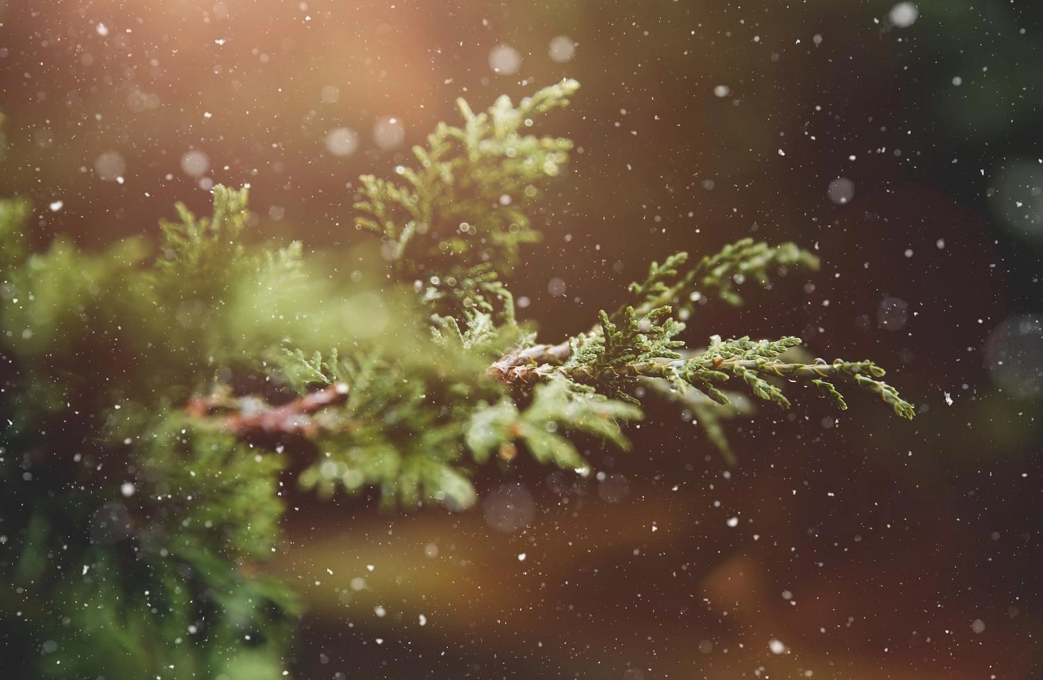 Öffnungszeiten der Kantonalen Verwaltung zwischen Weihnachten und Neujahr