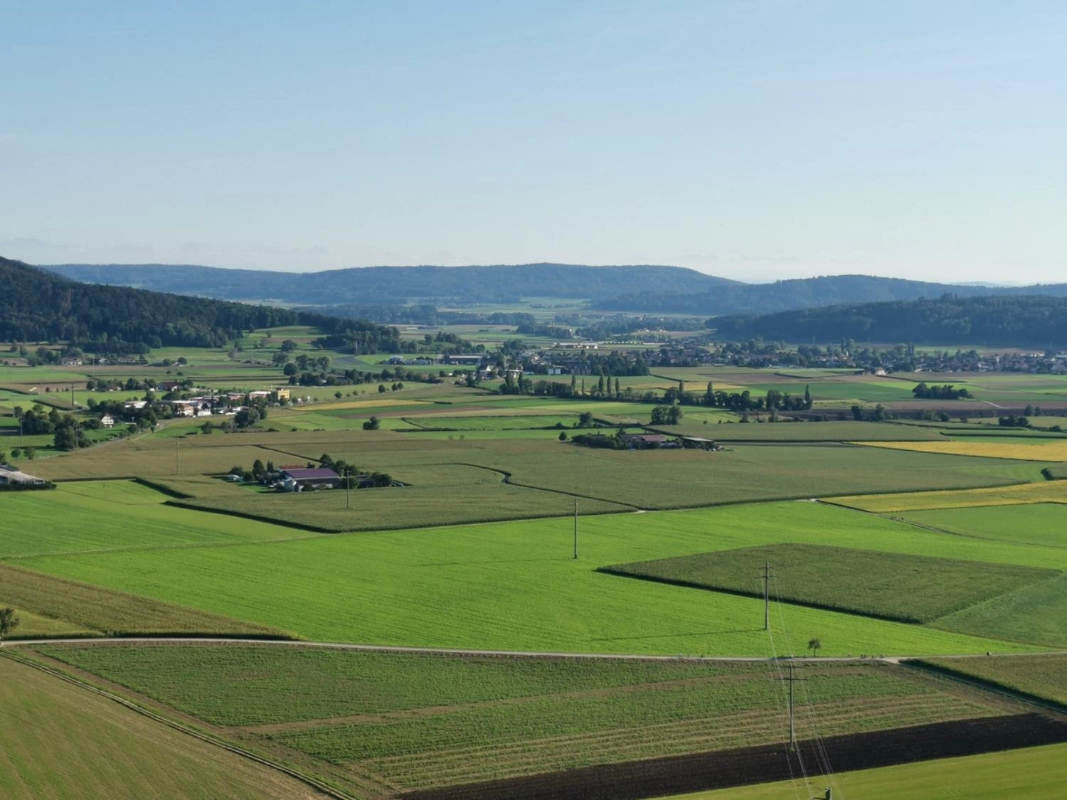 Ramsen: Fahrerflucht nach Kollision mit Hund